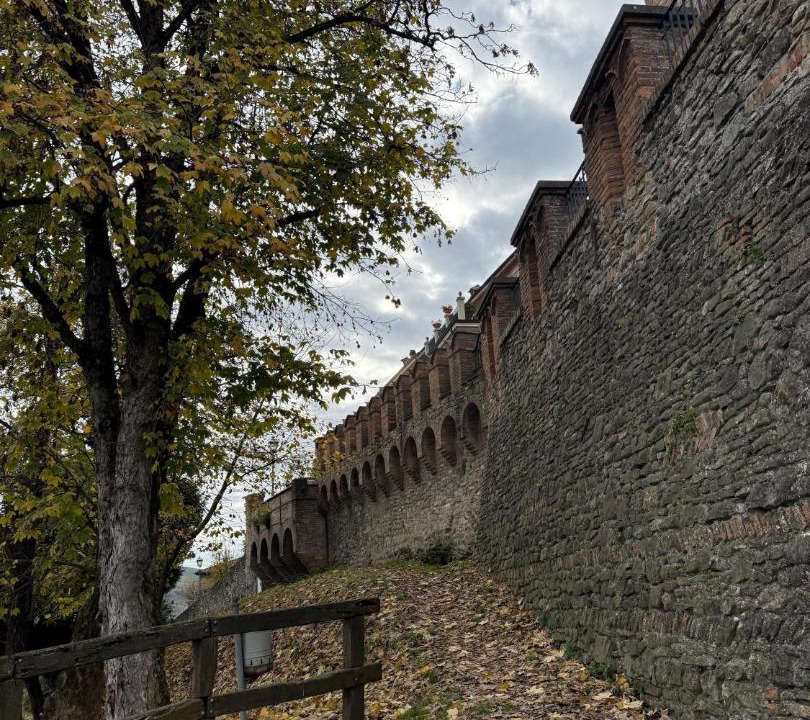 Photo of Others in Castelvetro di Modena