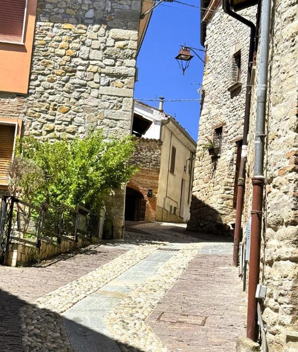 Photo of Others in Zavattarello