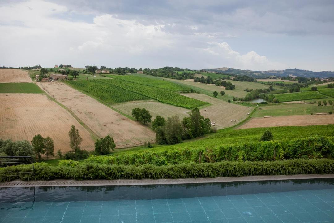 Photo of Others in Castelvetro di Modena