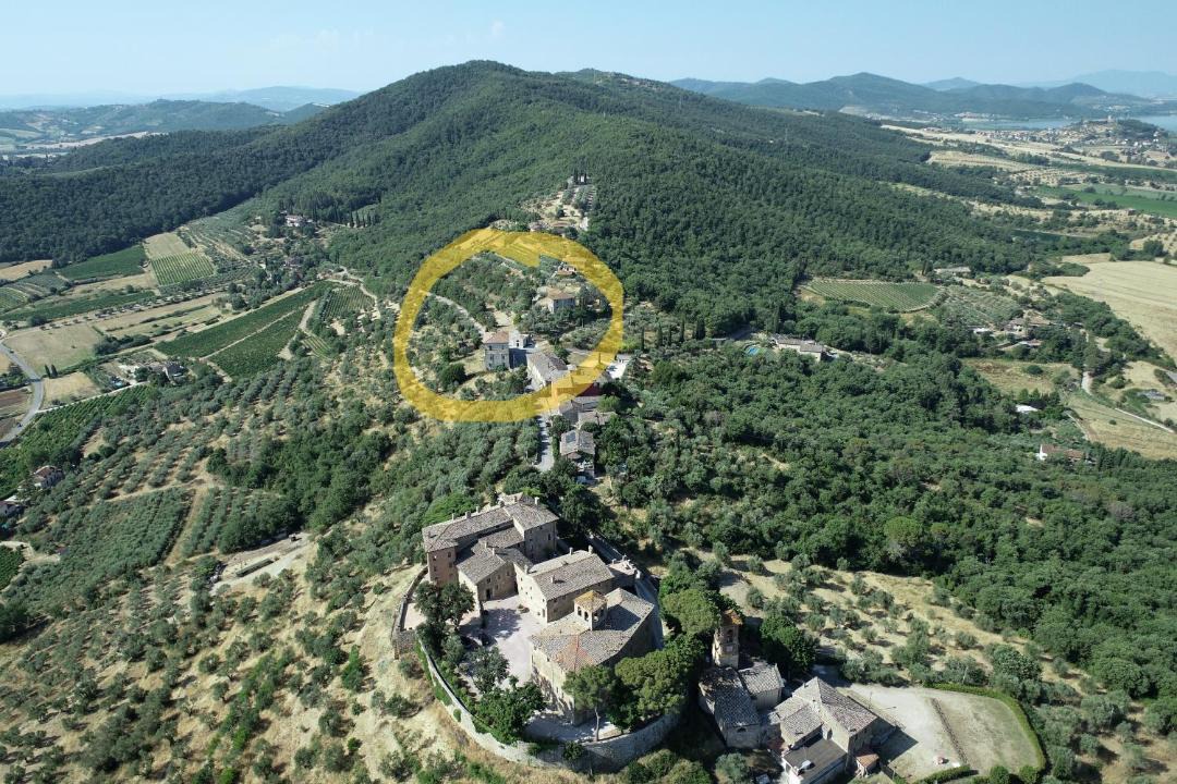 Photo of Others in Magione