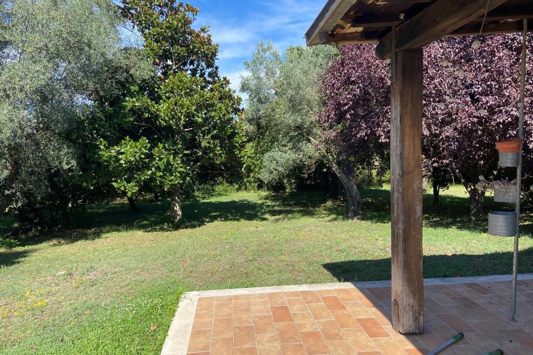 Photo of Others in Bolsena
