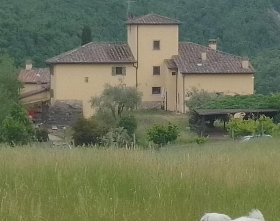 Photo of Others in San Piero a Sieve
