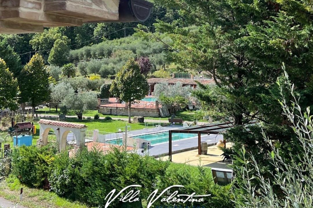 Photo of Others in Montelovesco