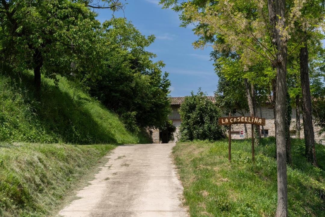 Photo of Others in Rocca Malatina