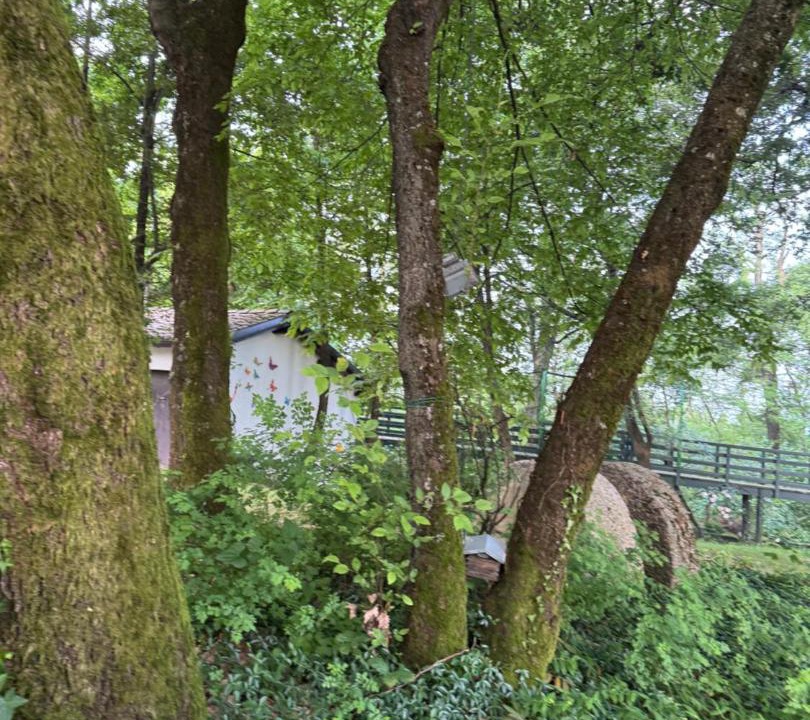 Photo of Others in Chiavenna Rocchetta