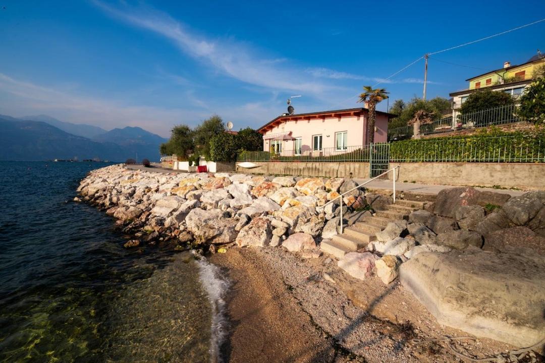 Photo of Others in Assenza