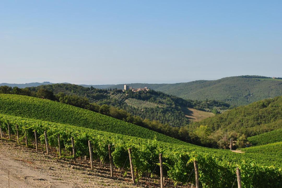 Photo of Others in Gaiole in Chianti