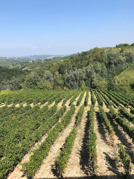 Photo of Others in Montecalvo Versiggia