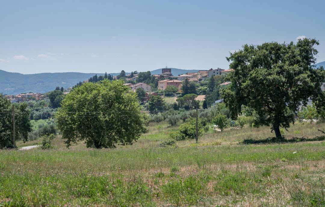 Photo of Others in Sismano
