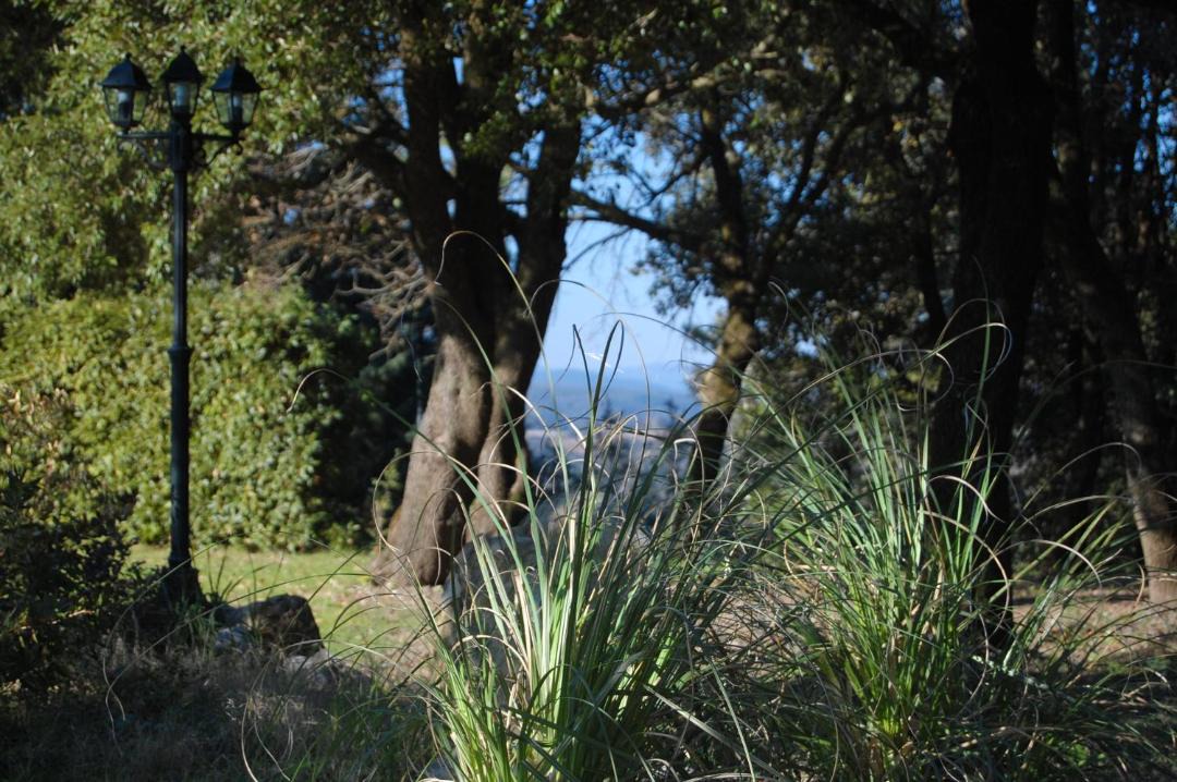 Photo of Others in Civitella Paganico