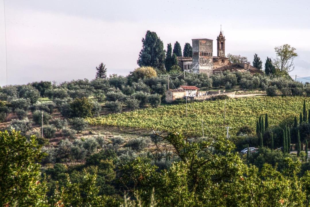Photo of Others in Montespertoli