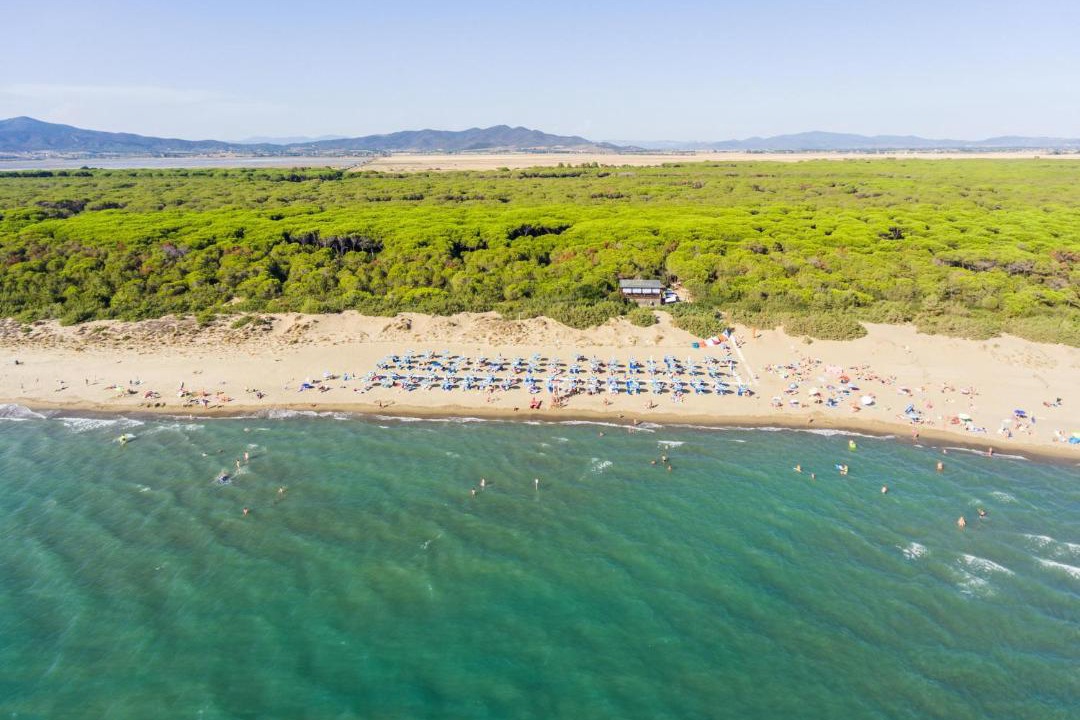 Photo of Others in Marina di Grosseto