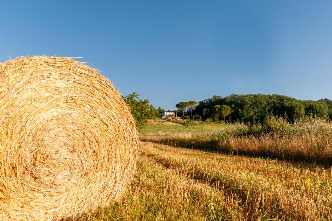 Photo of Others in Vicchio