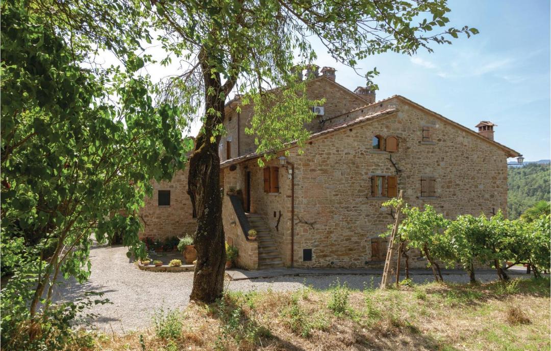 Photo of Others in Santa Reparata