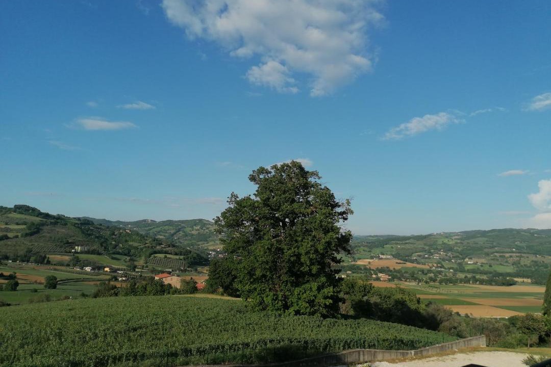 Photo of Others in Lidarno