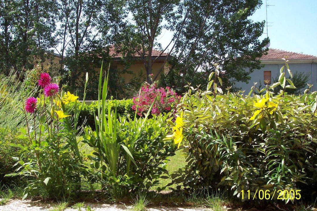 Photo of Others in Lubiana