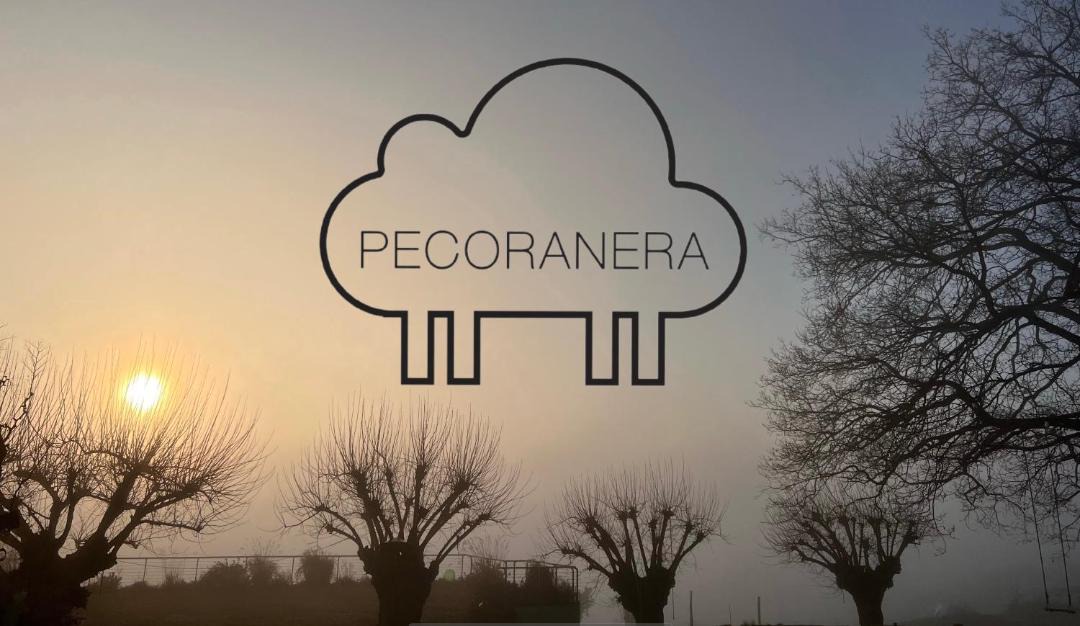 Photo of Others in Bertinoro