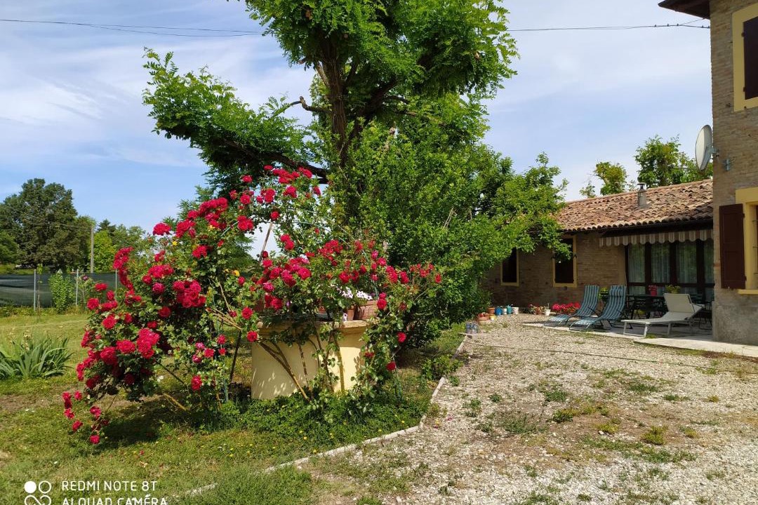 Photo of Others in Nonantola