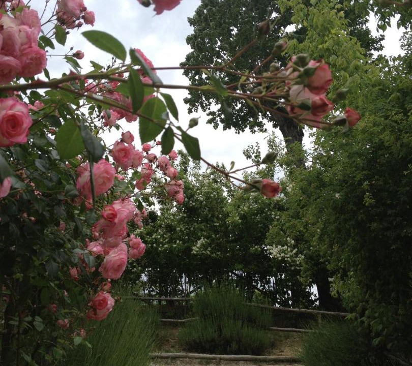 Photo of Others in Sariano