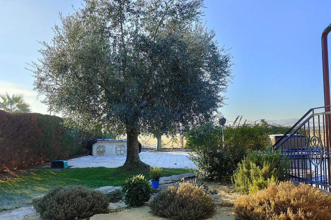 Photo of Others in Rimini