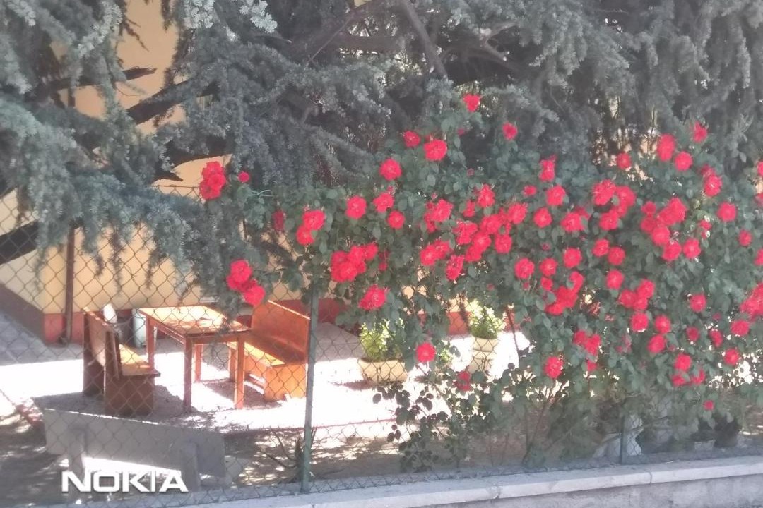 Photo of Others in Fossanova San Marco
