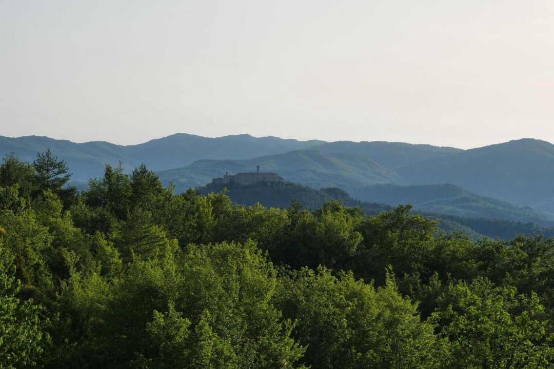 Photo of Others in Monte Santa Maria Tiberina