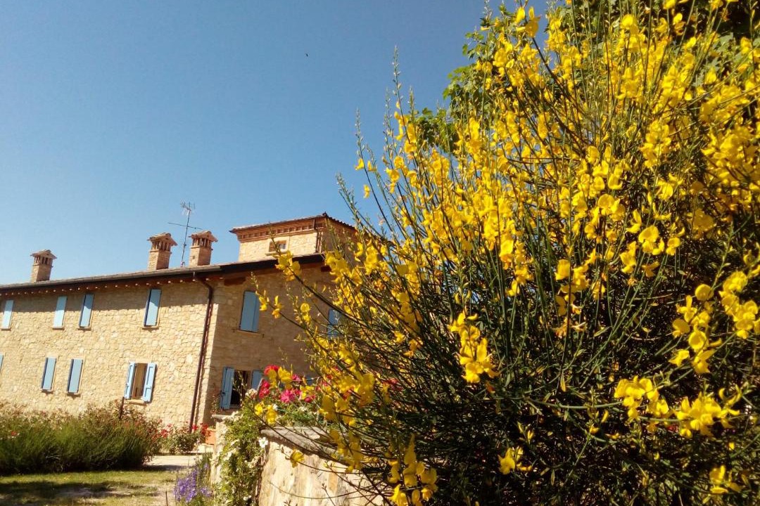 Photo of Others in Paullo
