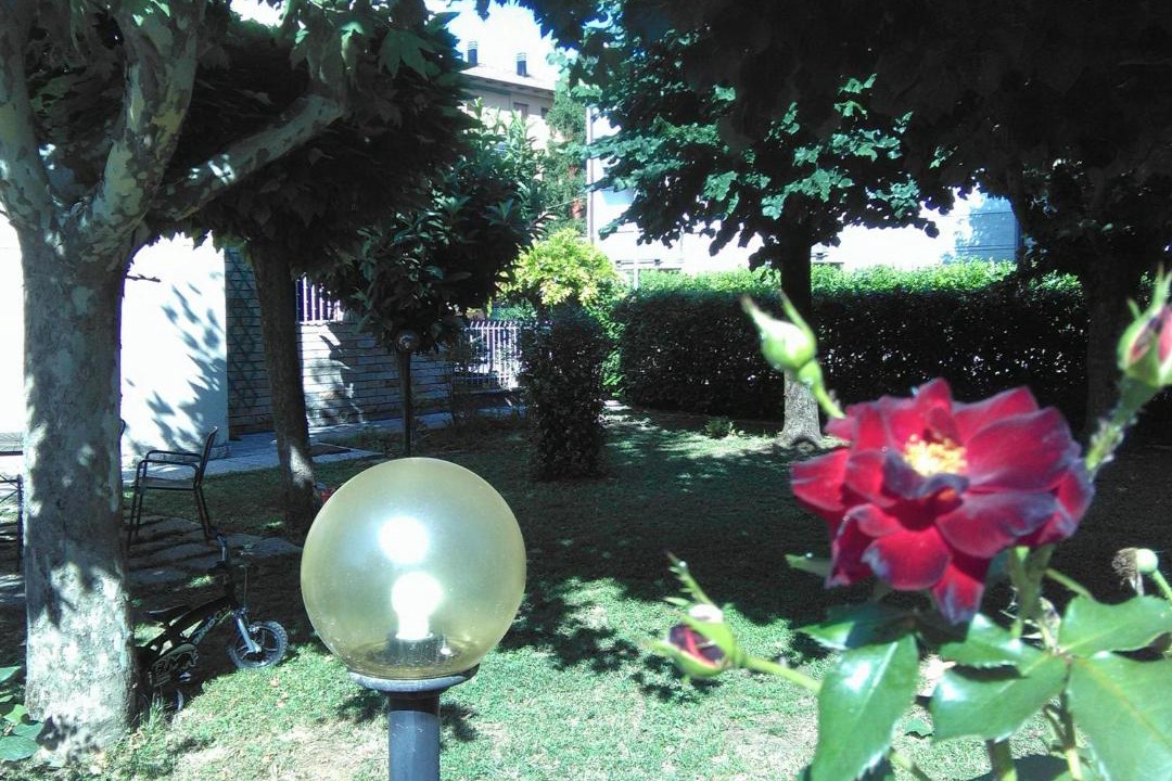 Photo of Others in Anzola dell'Emilia