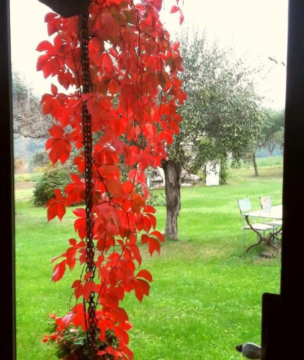 Photo of Others in Tavoleto