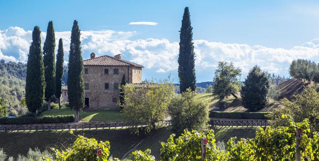 Photo of Others in Gaiole in Chianti