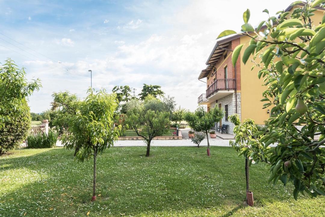 Photo of Others in Santa Maria degli Angeli