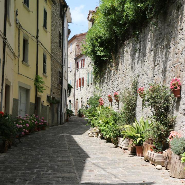 Photo of Others in Portico di Romagna