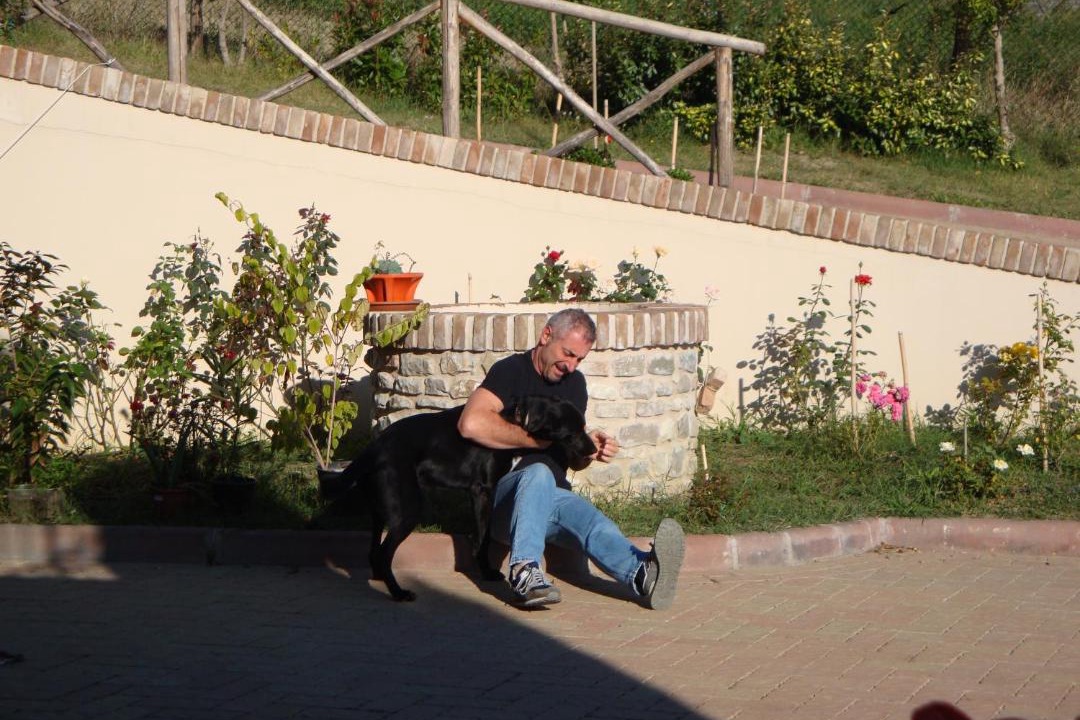 Photo of Others in Torriana