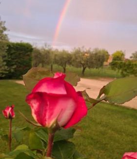 San Giovanni In Marignano Bed & Breakfast | Appartamento in villa Gra&Mary