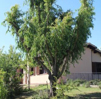 Montecastrilli Villa | Villa Umbria Il Salice