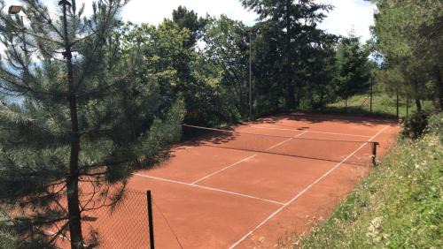 Castelfranco di Sopra House | Villa Cerreto