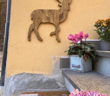 Cavalese Apartment | My Sweet Home in the Dolomites - appartamento "Ai Vòlti"