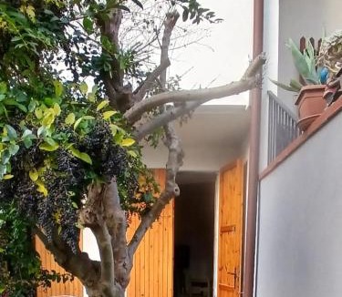 Punta Marina Apartment | Blu Mare