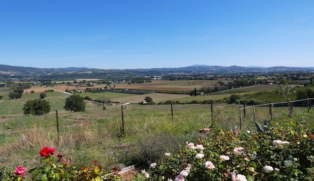 Escape to Umbria, Apartment 1