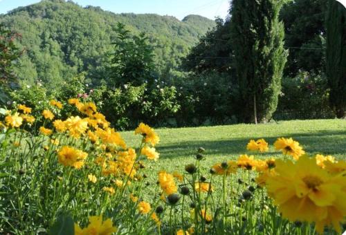 Borgo Spescia Pool Park and Relaxation