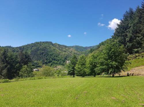 Il Bosco di Campo Marzano Garden Apartments in Borzonasca