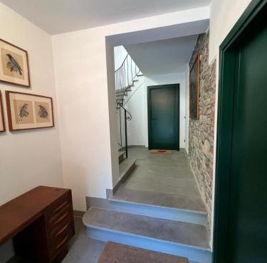 Monte Cucco - Monticello Apartments