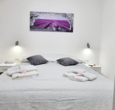 GUEST HOLIDAY BETTOLA
