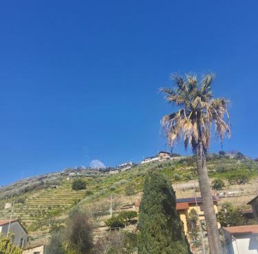 Villa Rosa in Latte