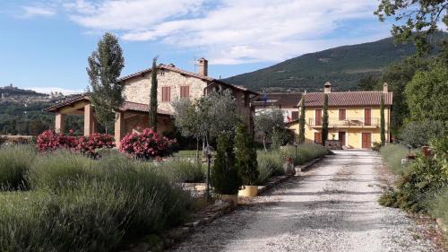 Sulla Strada di San Francesco in Assisi
